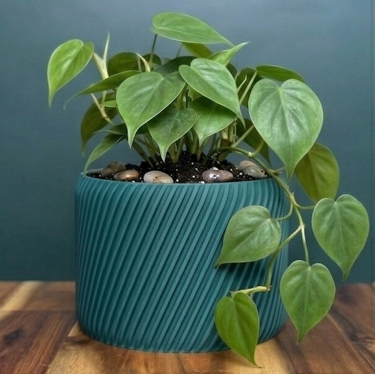 Helix Planter - Full Rib