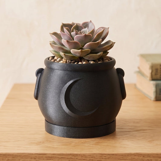 Cauldron Planter and Drip Tray