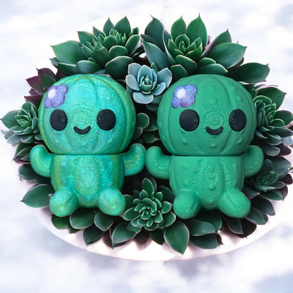 Desert Dwellers Desk Decor