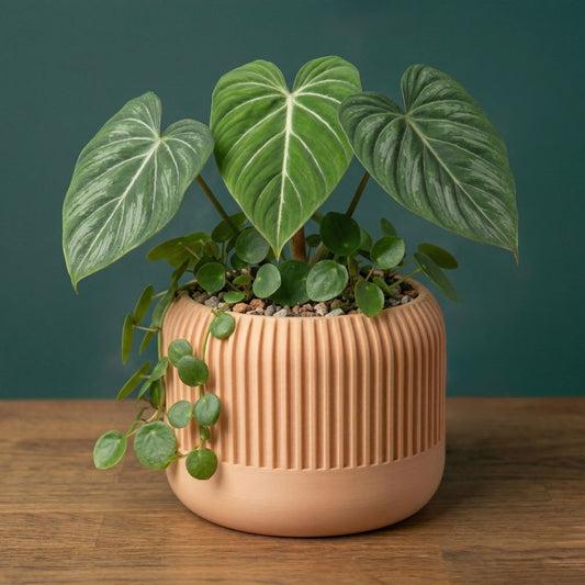 Sora Planter – Foundation
