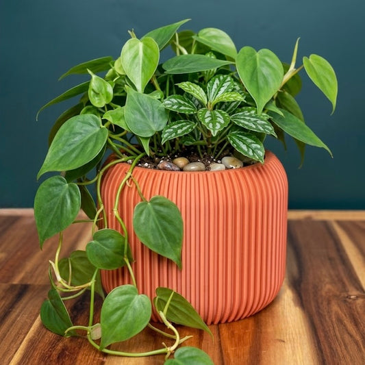 The Pillar Planter – Full Rib